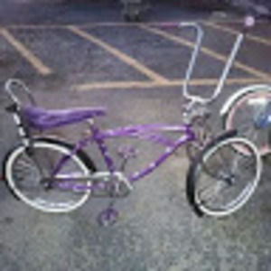 Meet your Posher, Freddy